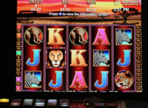 彩神vll购彩手机版